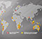 Global Standard