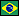 Brazil Icon