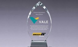 VALE Ferrosos BI award trophy