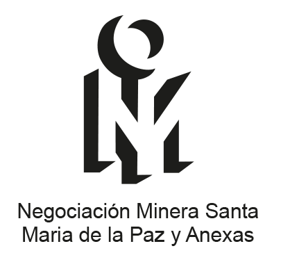 Nemisa logo